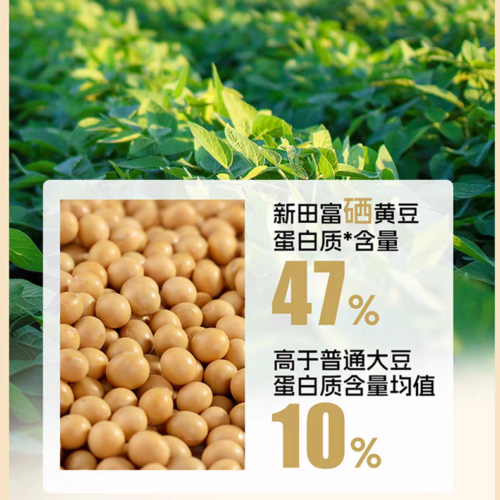 Dragon Brand Hand-Crafted Traditionally Brewed Soy Sauce | 2L | First Extract Premium Soy Sauce | 0 Additives | For Dipping, Dressing & Enhancing Flavor
龙牌手工传统酿造酱油 | 2升 | 0添加古法特级头道酱油 | 点蘸提鲜 增香之选
