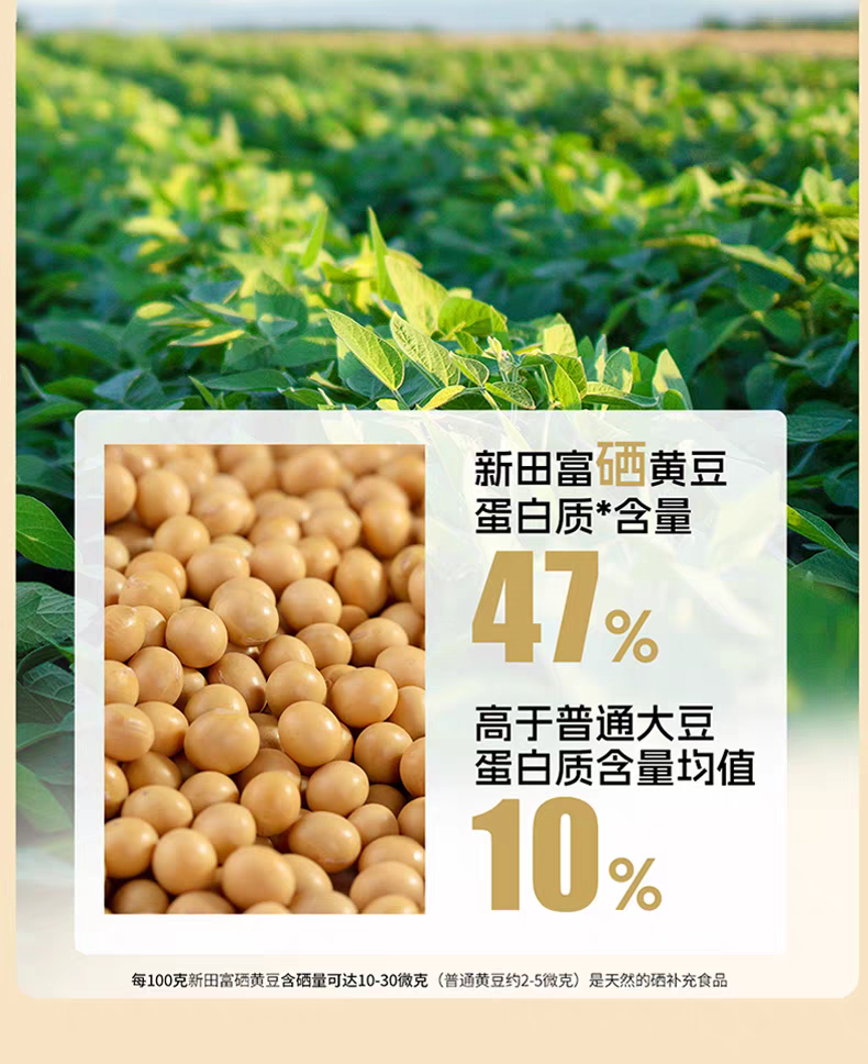 Dragon Brand Hand-Crafted Traditionally Brewed Soy Sauce | 2L | First Extract Premium Soy Sauce | 0 Additives | For Dipping, Dressing & Enhancing Flavor
龙牌手工传统酿造酱油 | 2升 | 0添加古法特级头道酱油 | 点蘸提鲜 增香之选