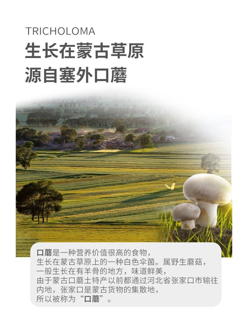 Qingxiangyuan Zhongba Soy Sauce 1.08L Large Bottle Zero Additives Soy Sauce Brewed with Traditional Techniques Mushroom-flavored Fresh Soy Sauce
清香园中坝酱油1.08L大瓶装零添加酱油传统工艺酿造口蘑当鲜生抽