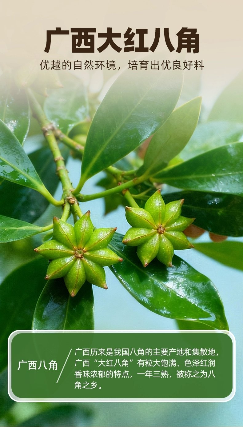 2026/04/1000074584.jpg Chuanzhen Guangxi Dahong Star Anise 90g Bottle 川珍廣西大紅八角90g瓶裝